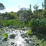 Apartment In Lignano Sabbiadoro 21790